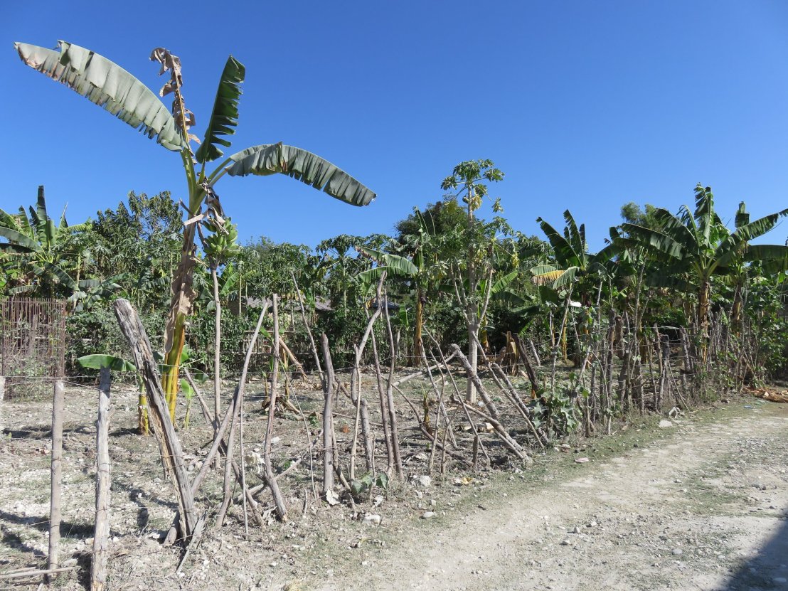 29665209_1825545080809843_7693299792741132887_o