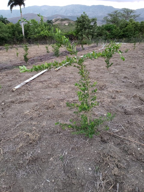 13eaebf4-7b3a-4528-b21b-0a62b03bde7c