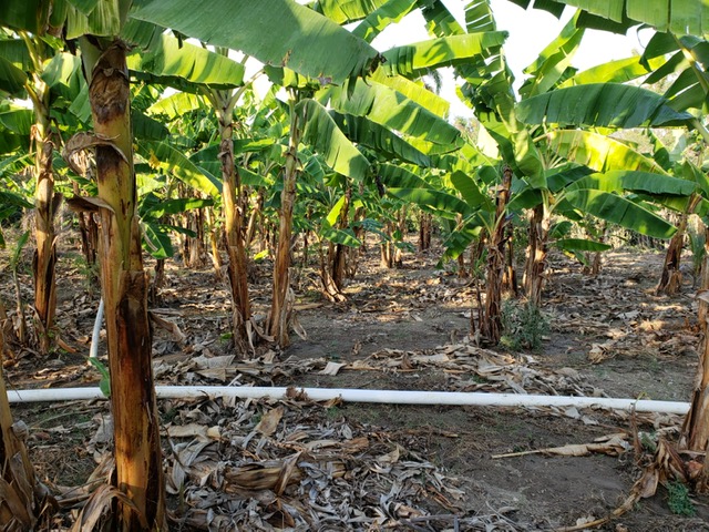 aa93c602-741f-4270-9018-3ff684d20d00